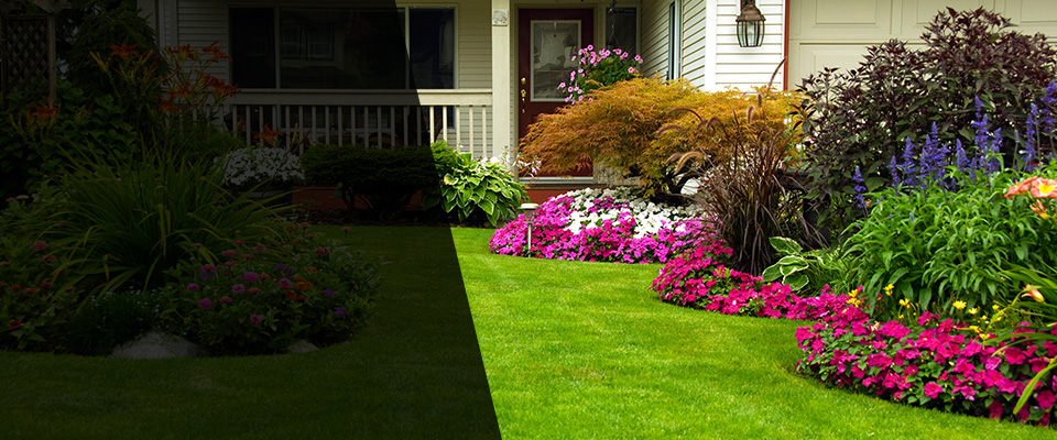 Asheboro Landscapers
