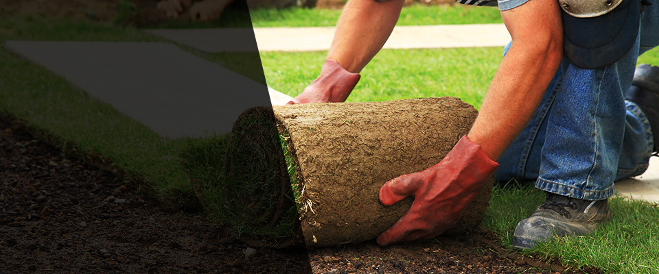 Asheboro Landscapers